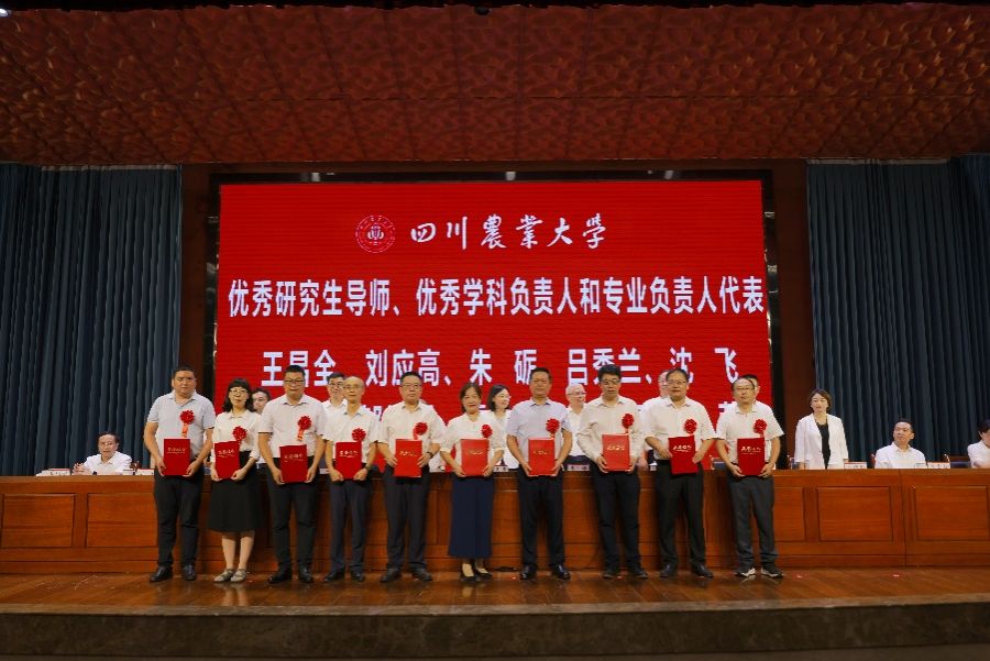 ok138cn太阳集团529