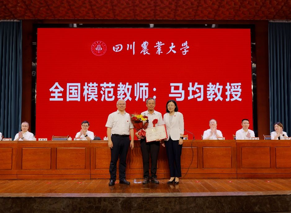 ok138cn太阳集团529