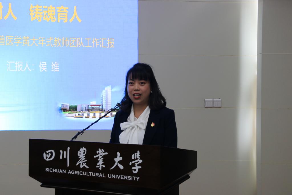 ok138cn太阳集团529