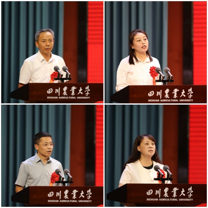 ok138cn太阳集团529